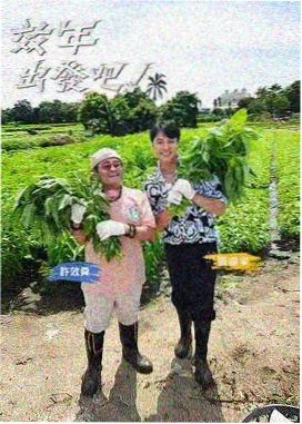 蜜糖慢生活 综艺封面
